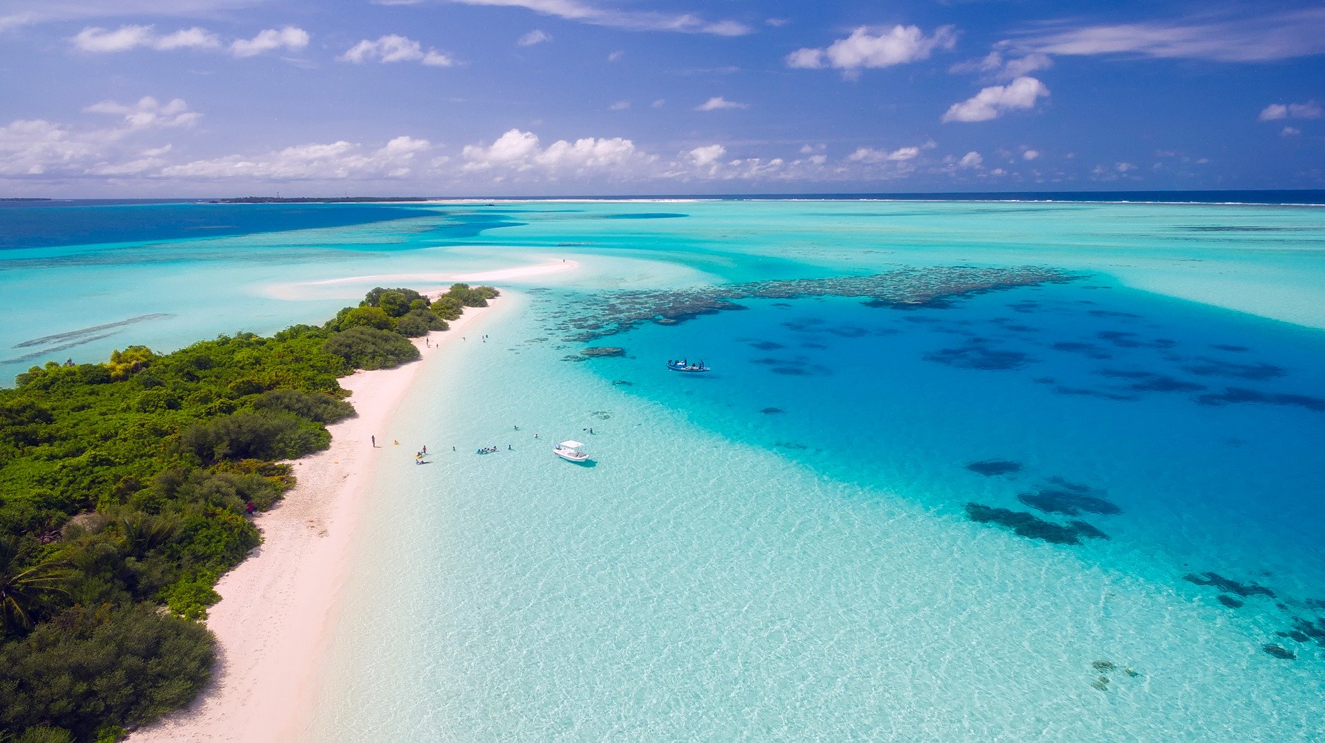 Maldivene
