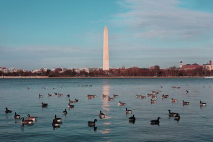 Reis til USA: Oppdag de Uendelige Mulighetene